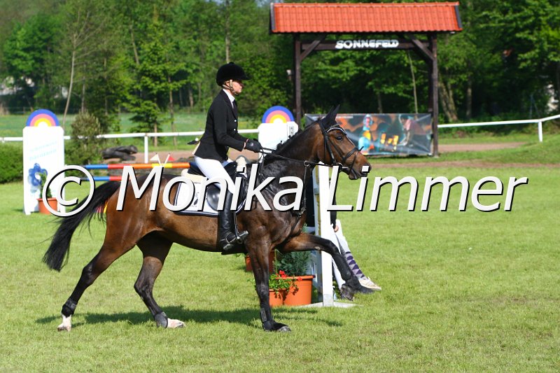 005M4017_Queenie_Springpferde A.JPG